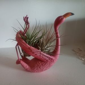 Meet your Posher, Tanya